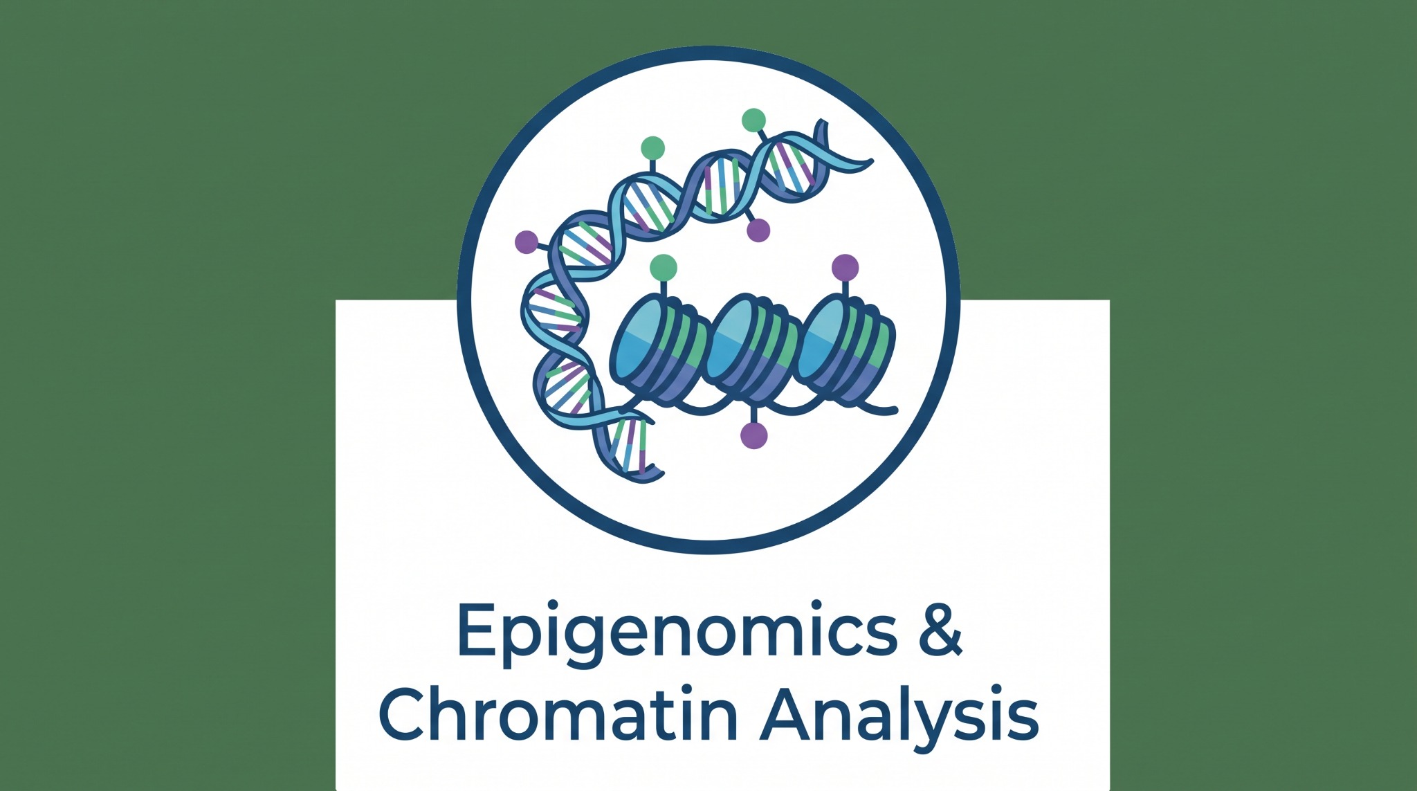 Epigenomics and chromatin analysis icon
